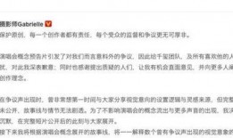 抄袭怎么爆料的视频,视频揭露抄袭事件始末