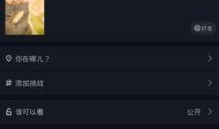 抖音热点爆料视频教程下载,爆款视频教程下载攻略